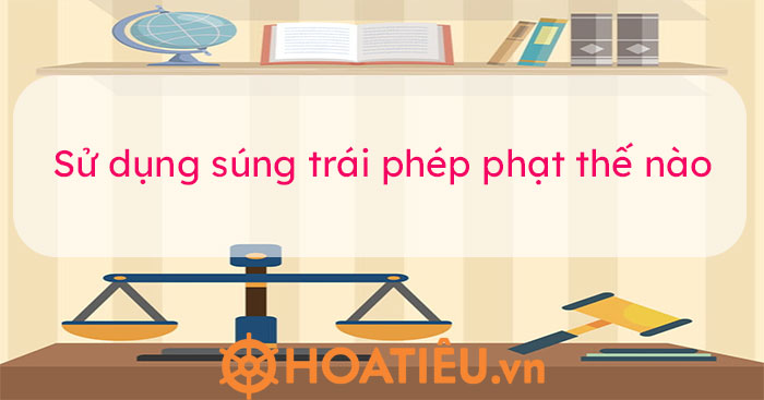 Quy định về sử dụng súng ở Việt Nam 2022