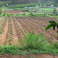 Các trường hợp thu hồi đất nông nghiệp 2022