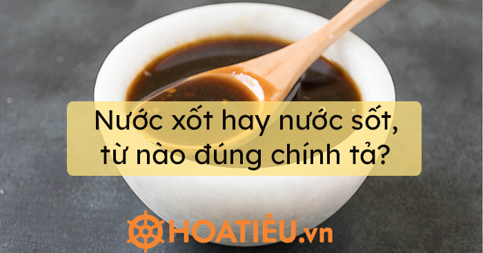 Xốt trong tiếng Việt có nghĩa là gì?

