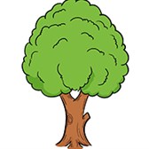 Chủ đề và thông điệp văn bản Lời của cây