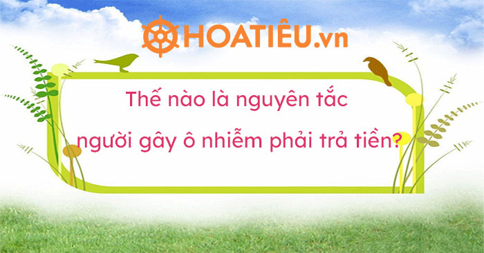 Thế nào là nguyên tắc người gây ô nhiễm phải trả tiền?