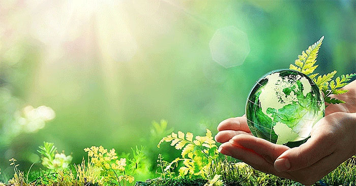 Ứng dụng thực tiễn nguyên tắc người gây ô nhiễm phải trả tiền ở Việt Nam