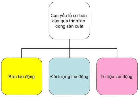 Sẵn sàng cho năm 2024 với sơ đồ tư duy GDCD 11 bài