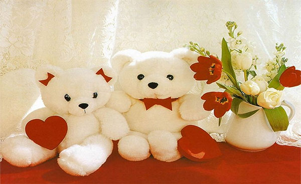 Chú gấu bông của em