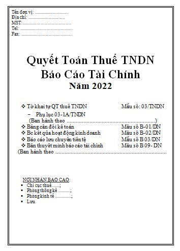 Mẫu bìa báo cáo tài chính quyết toán thuế TNDN