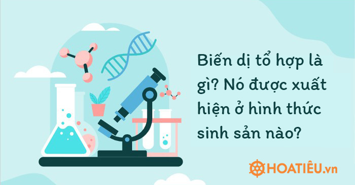 3 hình thức đào tạo trực tuyến phổ biến trong doanh nghiệp  VietED