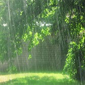 Mở bài tả cơn mưa lớp 5 (Mở bài trực tiếp, gián tiếp, ngắn gọn)