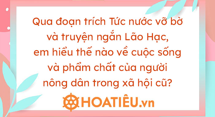 Qua đoạn trích Tức nước vỡ bờ và truyện ngắn Lão Hạc, em hiểu thế nào ...