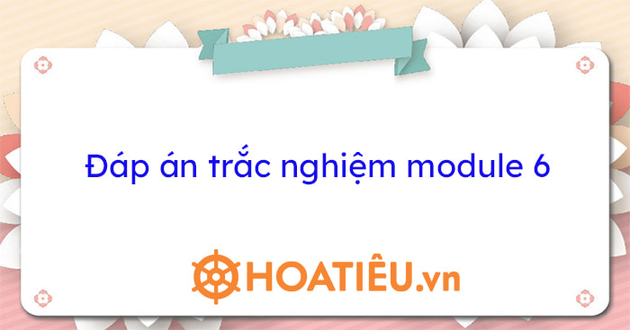 Đáp án Module 6