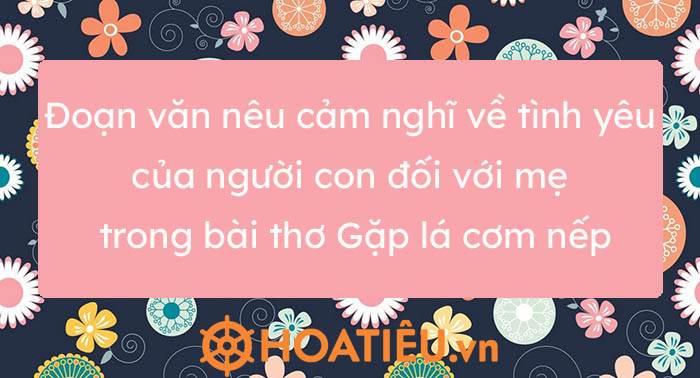 Đoạn Văn Nêu Cảm Nghĩ Về Tình Yêu Của Người Con Đối Với Mẹ Trong Bài Thơ  Gặp Lá Cơm Nếp