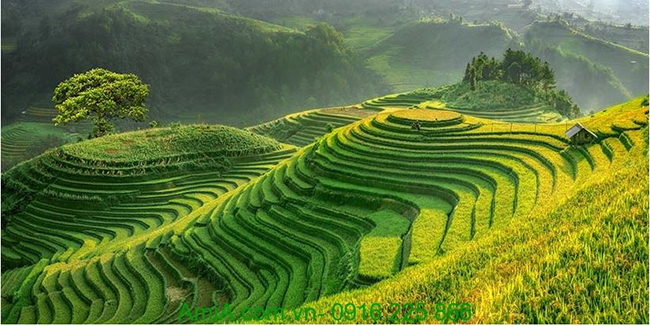 Top 8 mẫu Phân tích Việt Bắc hay nhất chọn lọc - HoaTieu.vn Top 8 Mẫu Phân Tích Việt Bắc Hay Nhất Chọn Lọc - Hoatieu.Vn