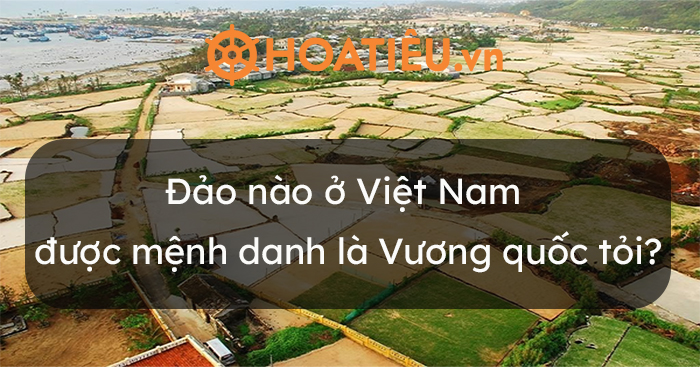 Đảo nào ở Việt Nam được mệnh danh là Vương quốc tỏi