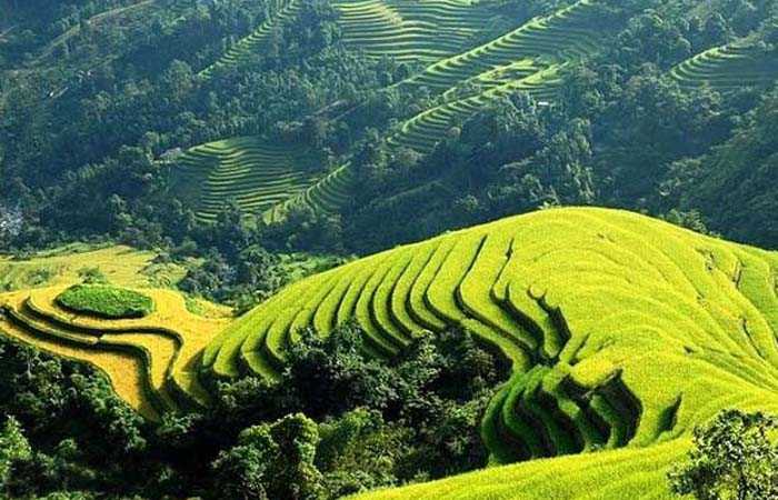 Cảm nhận khổ 1 bài thơ Việt Bắc