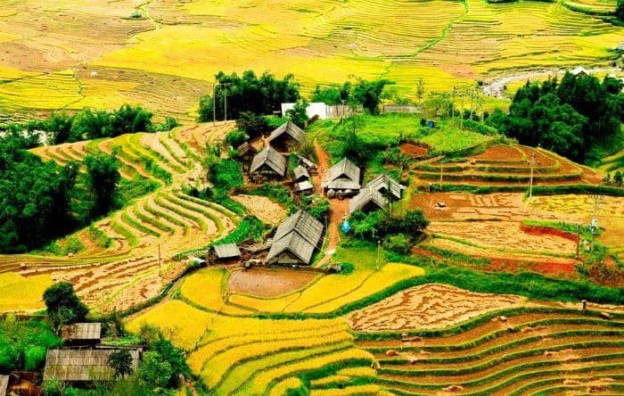 Cảm nhận 8 câu thơ đầu bài Việt Bắc sâu sắc