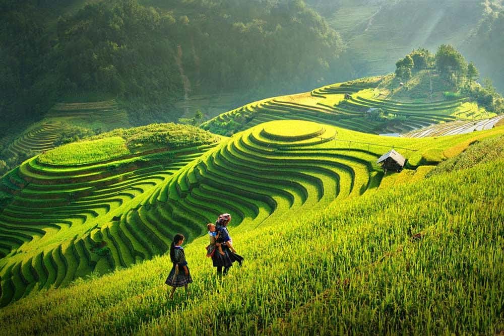 Cảm nhận 8 câu đầu Việt Bắc chi tiết