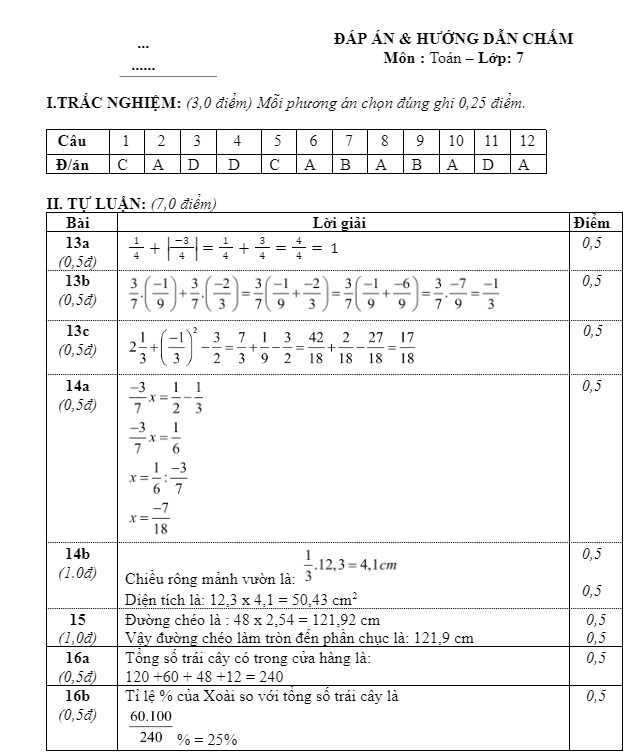 Đánh giá đề thi toán học kì 1 lớp 7