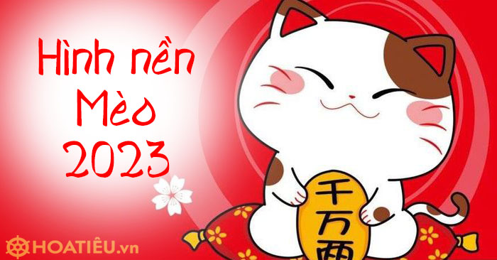 Hình nền Mèo 2024: Mèo được coi là biểu tượng may mắn trong năm mới, vì vậy hãy tận dụng hình nền Mèo 2024 để mang đến một không khí Tết đủ niềm vui và may mắn cho bạn.