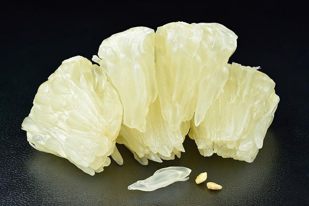 Tế bào lớn nhất trong thế giới sống