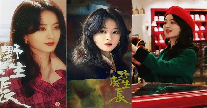Triệu Lệ Dĩnh trong Gió thổi Bán Hạ
