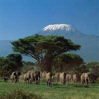 Viết đoạn văn giới thiệu một di sản thiên nhiên hoặc một vườn quốc gia ở châu Phi