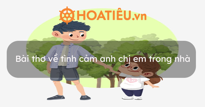 14 Bài thơ về tình cảm anh chị em trong nhà hay nhất - HoaTieu.vn