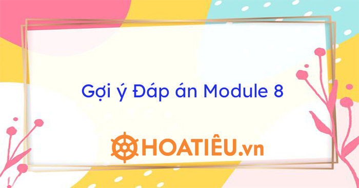 Đáp án Module 8 đủ 4 nội dung