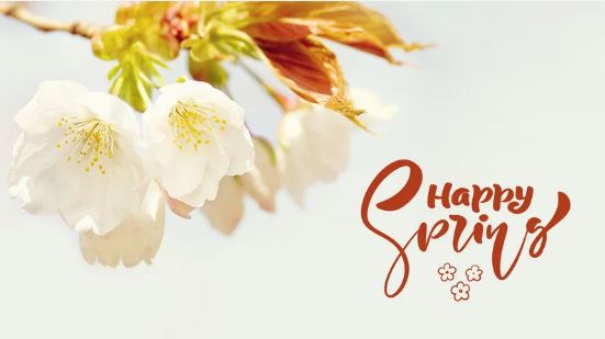 Quote mùa xuân đẹp