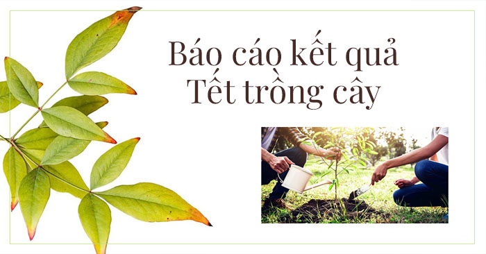 Báo cáo kết quả Tết trồng cây xuân Quý Mão năm 2023