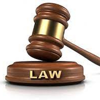 Quy phạm pháp luật là gì? Phân tích cấu trúc của một quy phạm pháp luật và minh hoạ bằng ba ví dụ thực tế