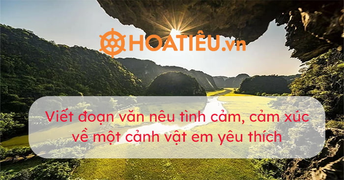 Top Viết đoạn văn nêu tình cảm cảm xúc về một cảnh vật em yêu thích hay nhất