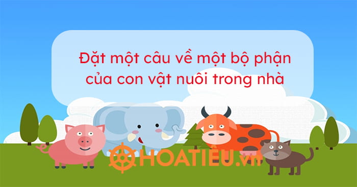 Đặt một câu về một bộ phận của con vật nuôi trong nhà