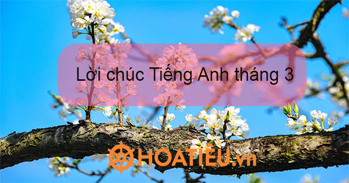 Lời chúc tháng 3 bằng tiếng Anh