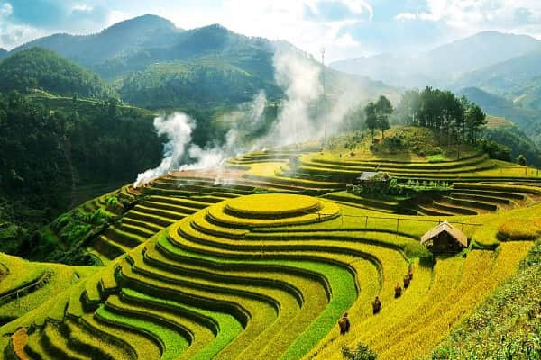 Địa hình nước ta hình thành và biến đổi do những nhân tố chủ yếu nào?