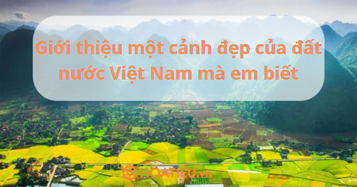 Giới thiệu một cảnh đẹp của đất nước Việt Nam mà em biết (4 mẫu)