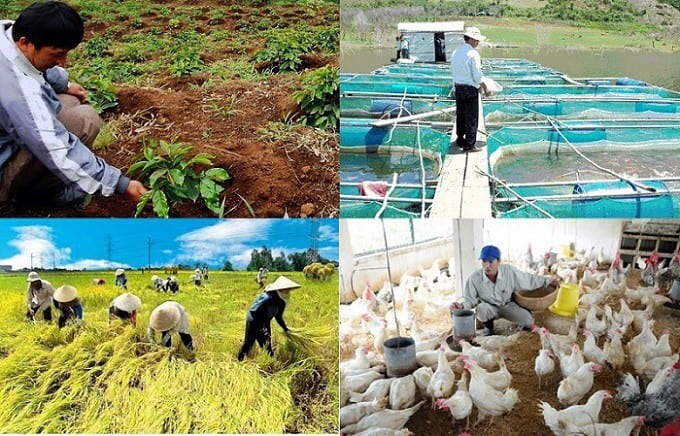Vai trò của nông nghiệp, lâm nghiệp, thuỷ sản đối với việc giữ cân bằng sinh thái và bảo vệ môi trường