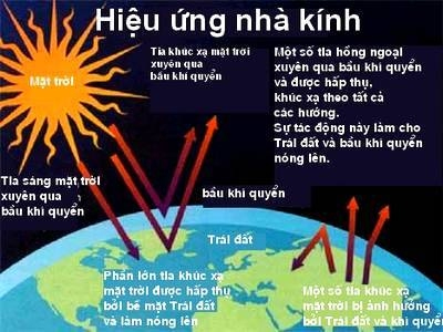 Nêu những việc làm phù hợp với em để góp phần giảm thiểu hiệu ứng nhà kính