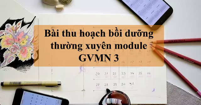 Bài thu hoạch bồi dưỡng thường xuyên module GVMN 3