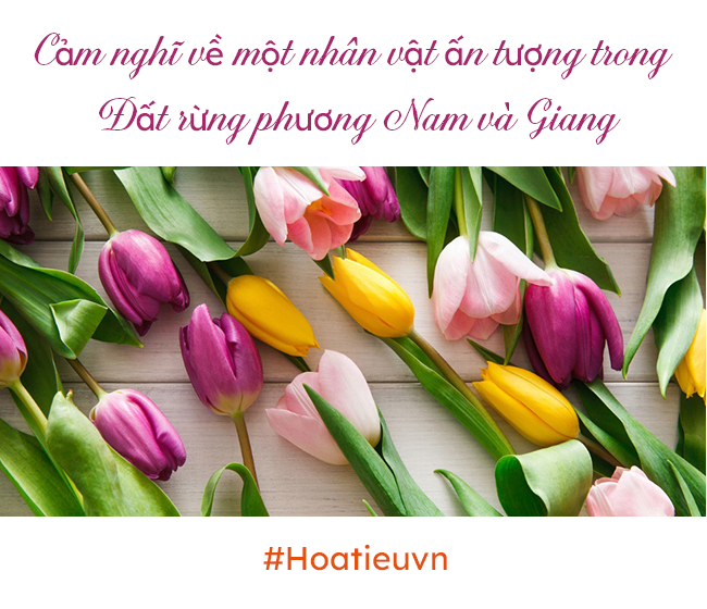 Cảm nghĩ về một nhân vật ấn tượng khi đọc hai văn bản Đất rừng phương Nam (Đoàn Giỏi) và Giang (Bảo Ninh)