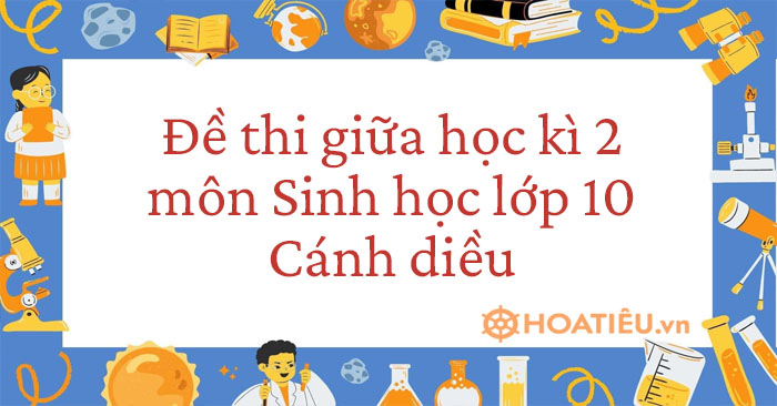Đề thi giữa học kì 2 môn Sinh học lớp 10 Cánh diều 2023 có đáp án