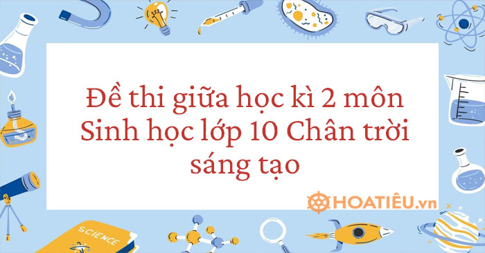 Đề thi giữa học kì 2 môn Sinh học lớp 10 Chân trời sáng tạo 2023 có đáp án
