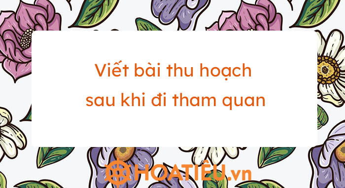 Viết bài thu hoạch sau khi đi tham quan - Trường THPT Trần Nguyễn Hãn - Hải Phòng
