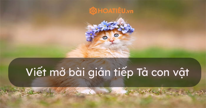 Viết Mở Bài Gián Tiếp Tả Con Vật (10 Mẫu) - Hoatieu.Vn