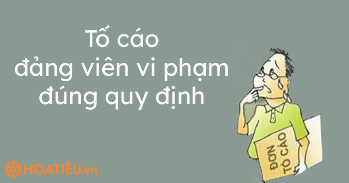 Thủ tục tố cáo Đảng viên vi phạm