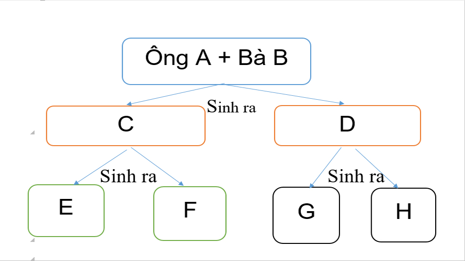 Người thân trực hệ là gì?