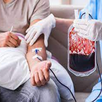Người thân trực hệ có truyền máu cho nhau được không? Giải đáp 2024