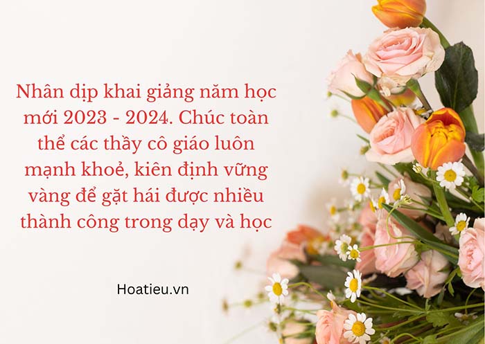 Thiệp Chúc Mừng Khai Giảng Năm Học Mới 2023 2024 Hoatieuvn 7942