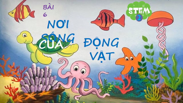 Giáo án PowerPoint STEM lớp 2