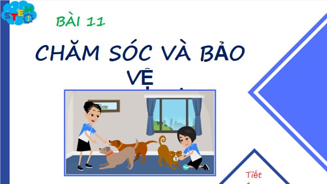 Giáo án STEM lớp 1