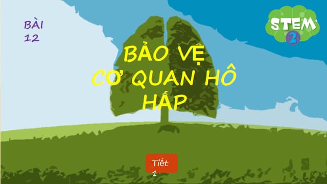 Giáo án STEM lớp 2