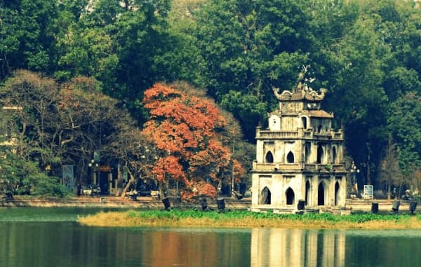 Viết 2-3 câu về quê hương em hoặc nơi em ở